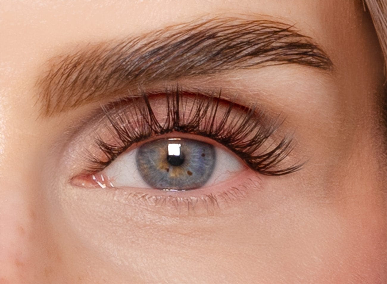 Lash Lover - Mini Box