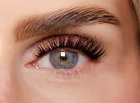 gl-1090-eye-candy-web-horizontal-lucia_A65f.jpg