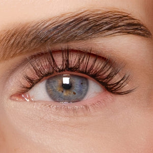 Lash Lover