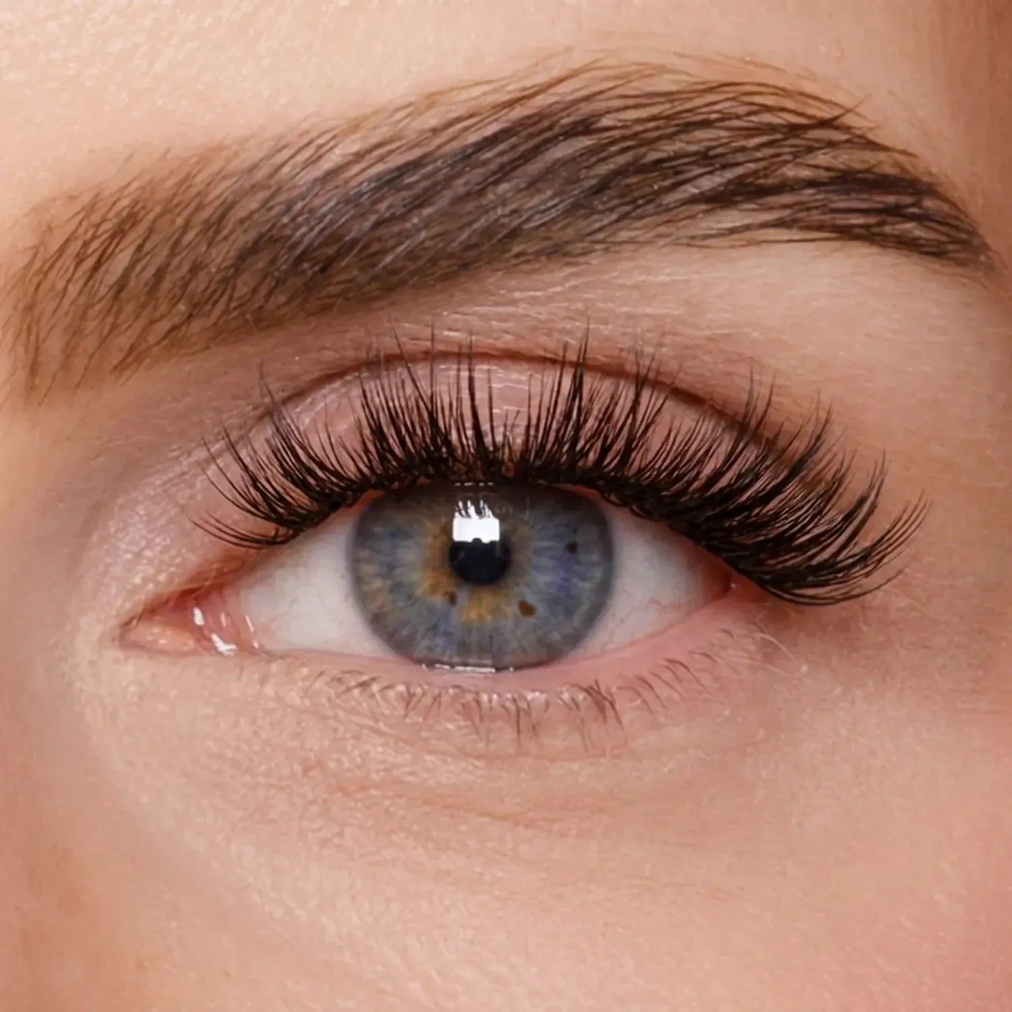 DIY Wimpernsegmente – Volume 3 (Classic DIY)
